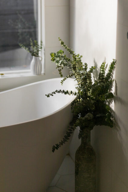 An image of a bathtub with a plant in front.