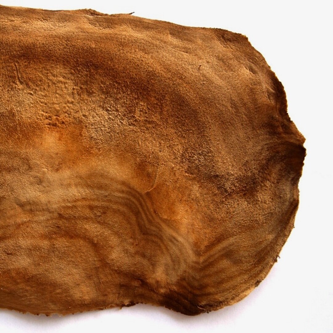 Muskin, the vegetable leather made from mushrooms - LifeGate