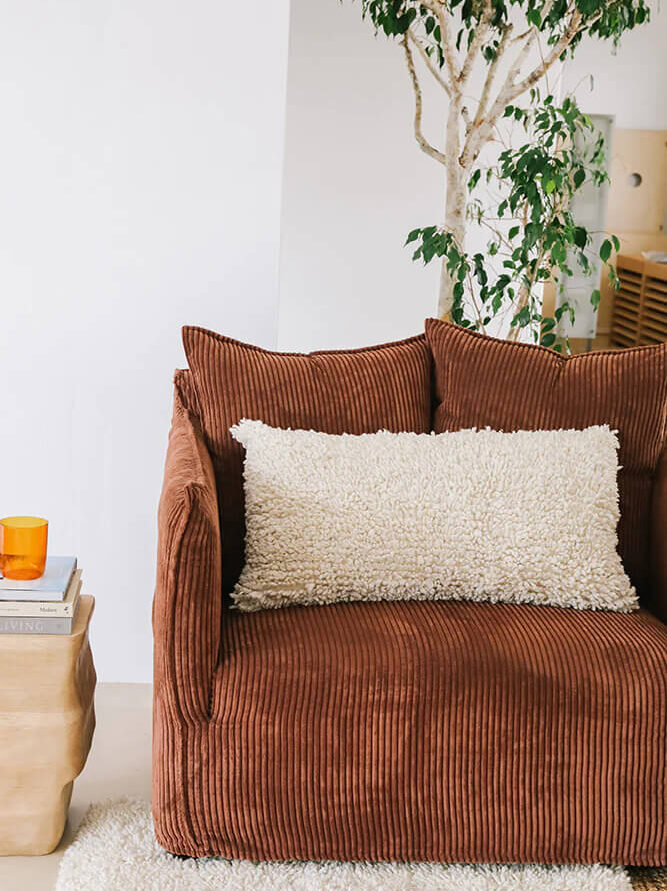 https://www.thegoodtrade.com/wp-content/uploads/2023/02/pampa-sustainable-couch-pillow-edited.jpeg
