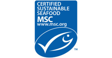 How To Ensure Your Seafood Is Sustainable, According To The Marine ...