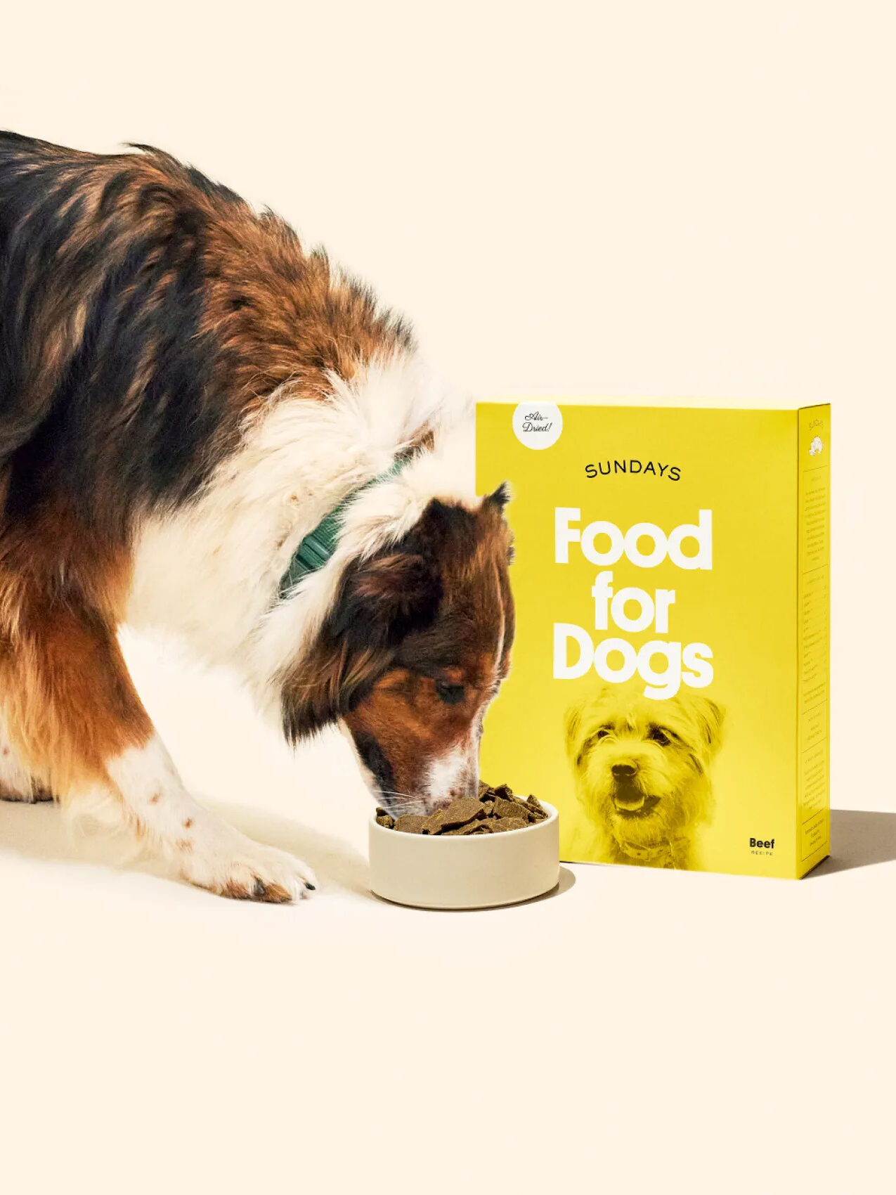https://www.thegoodtrade.com/wp-content/uploads/2023/07/sundays-food-for-dogs-edited.jpeg