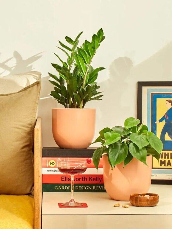 7 Sustainable Planters & Eco-Friendly Plant Pots For Your Home - The ...