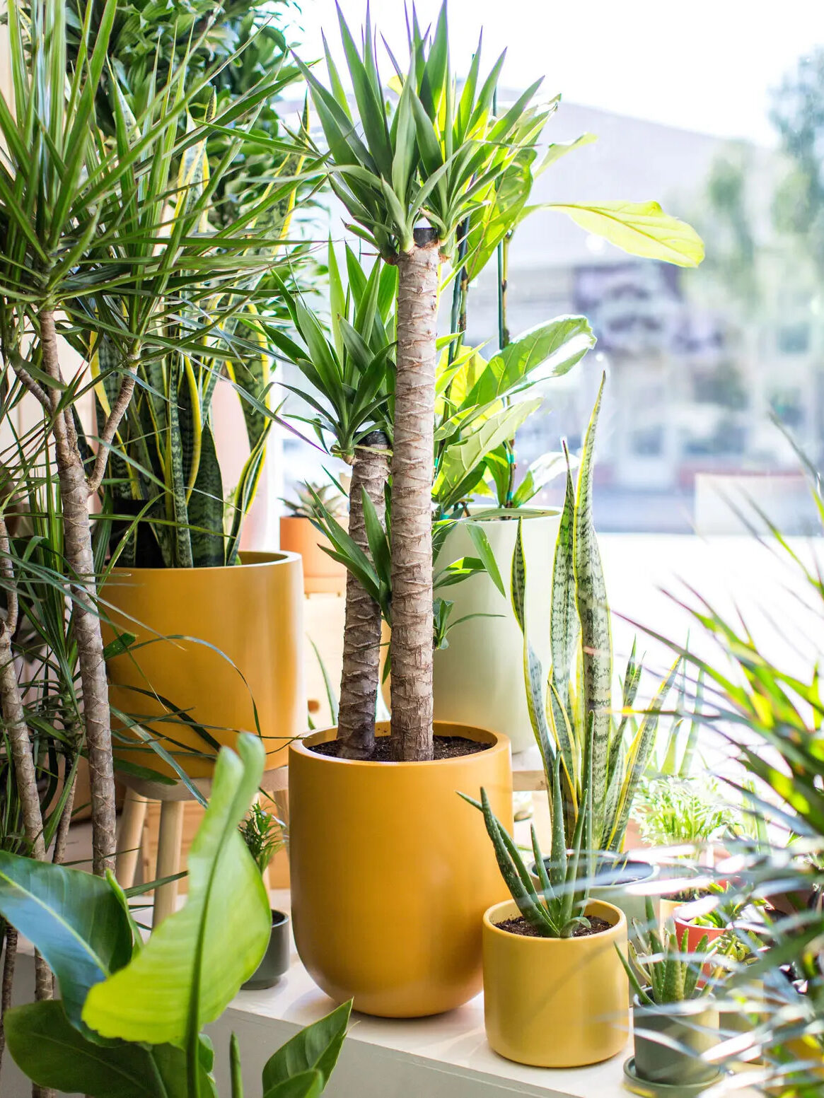 10 of the Best Eco-Friendly Plant Pots