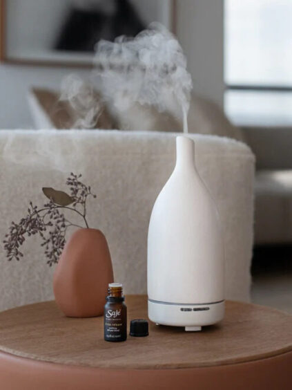 9 Nontoxic Essential Oil Diffusers (2024 Review) - The Good Trade