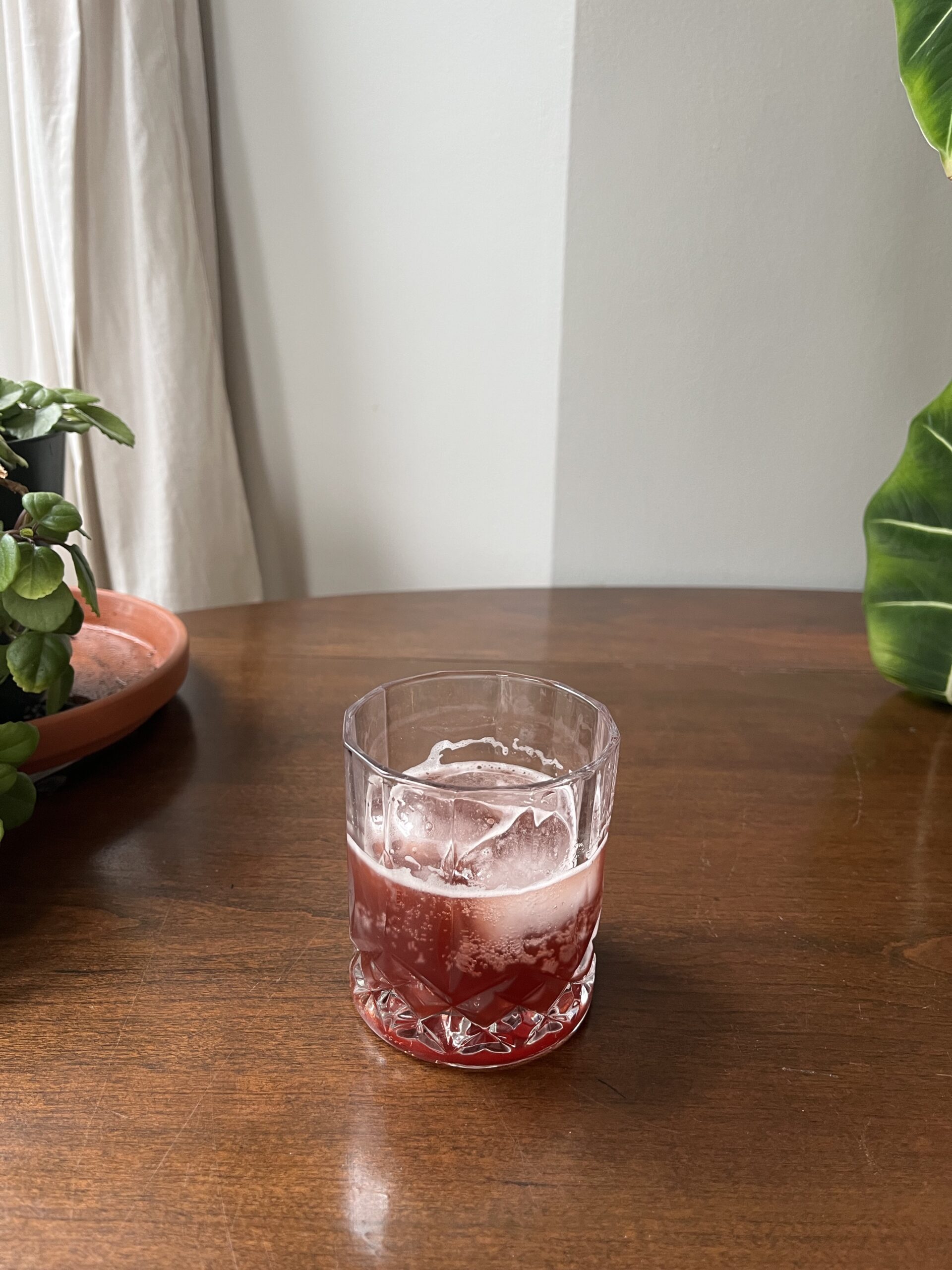A clear glass with red liquid and ice sits on a wooden table. There is a green potted plant on the left and part of a large leaf on the right. White curtains are in the background.