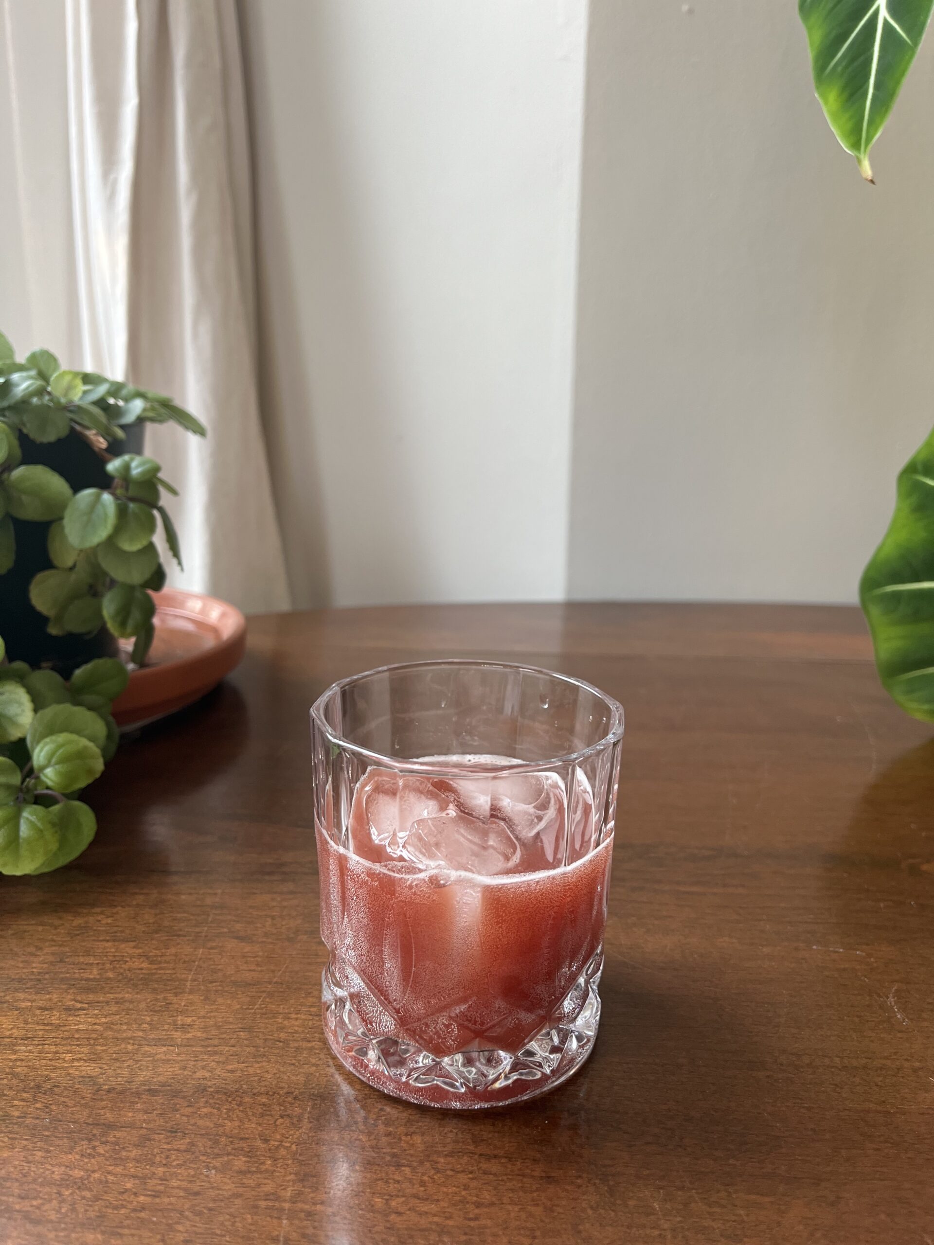 A glass filled with a red iced drink sits on a wooden table, surrounded by green potted plants in the background.