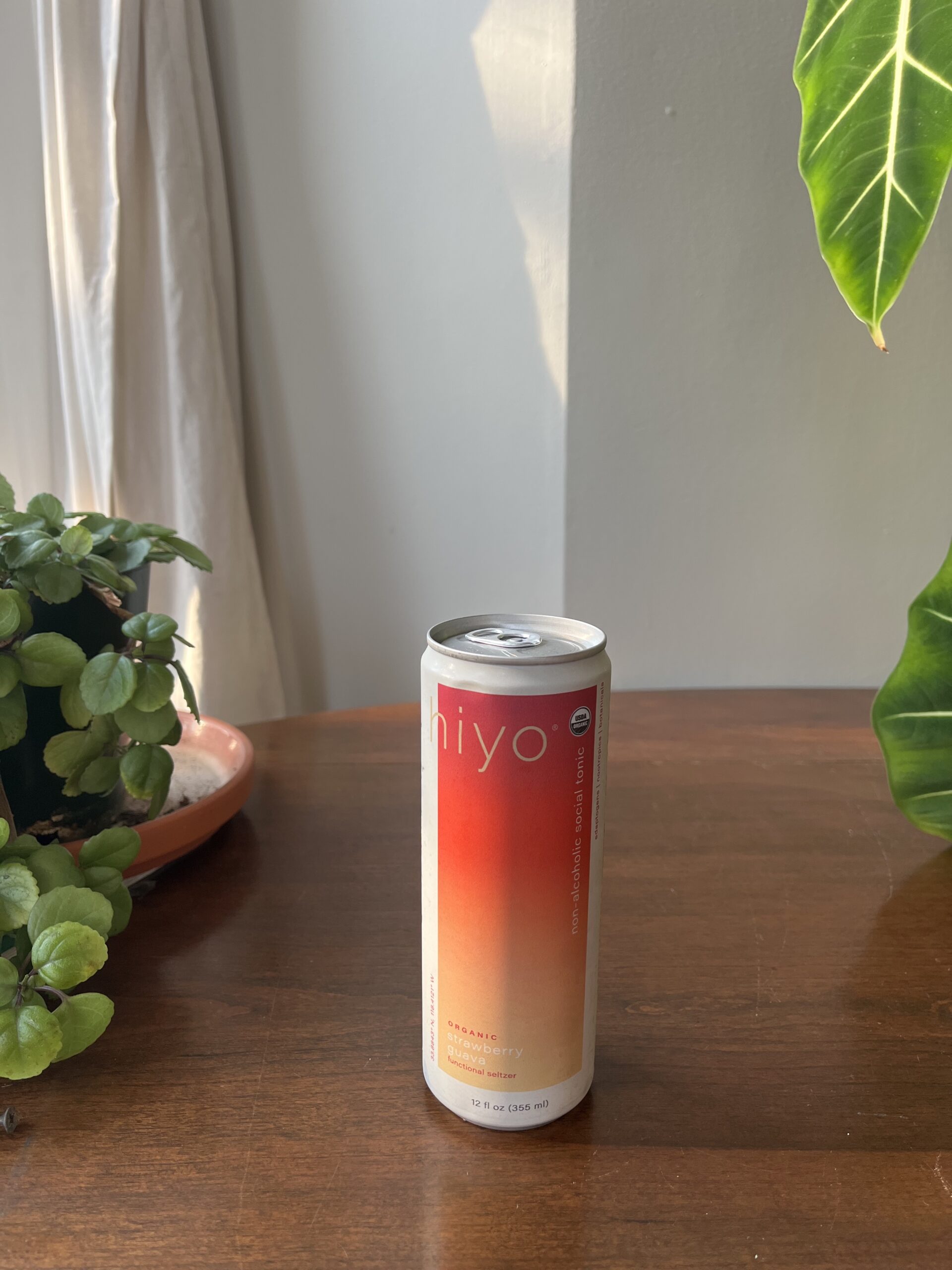 A can of hiyo sparkling social tonic stands on a wooden surface, flanked by green plants in the background.