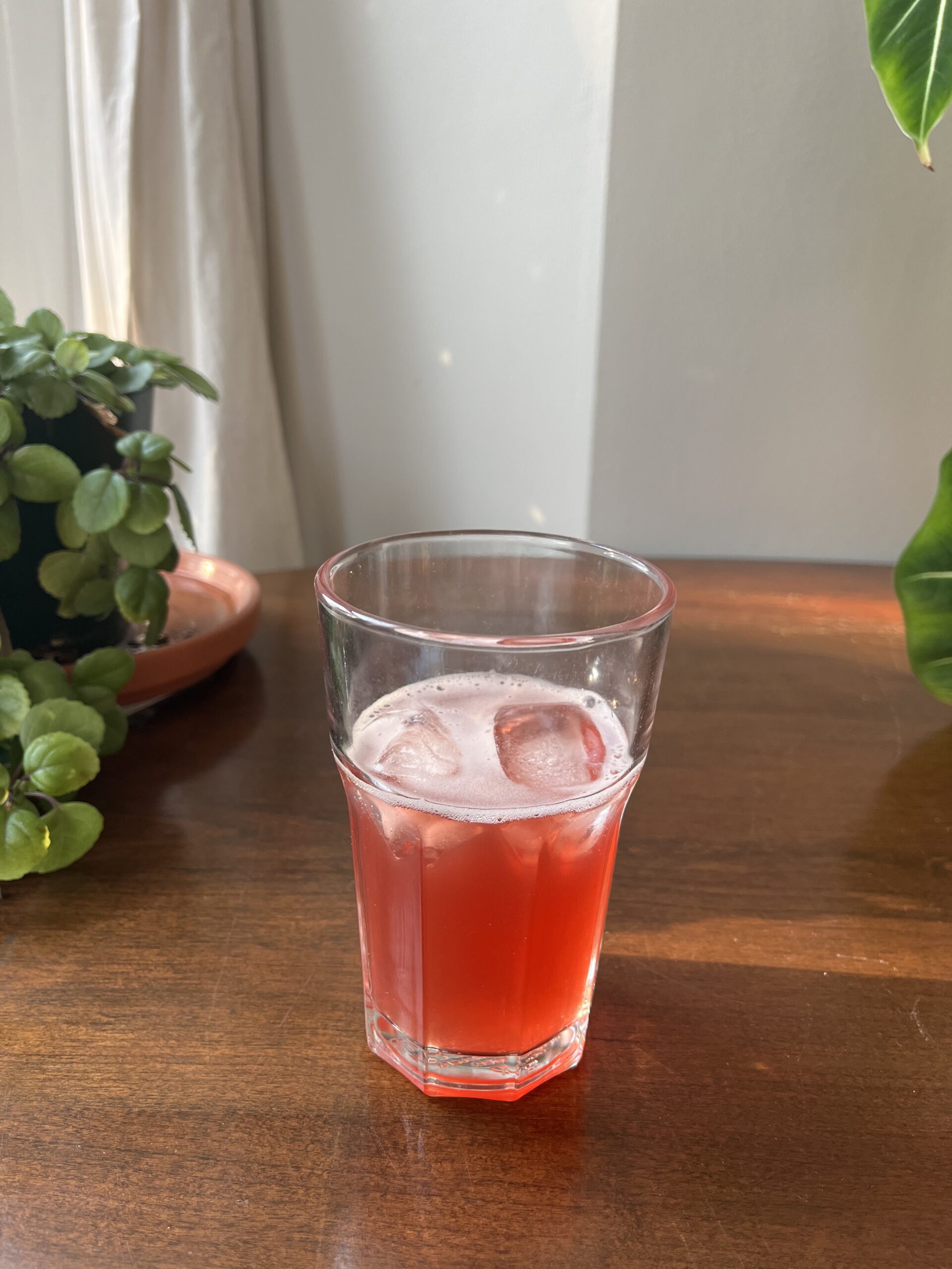 A glass of red beverage with ice on a wooden table, next to a plant in a pink pot and a large green leaf.
