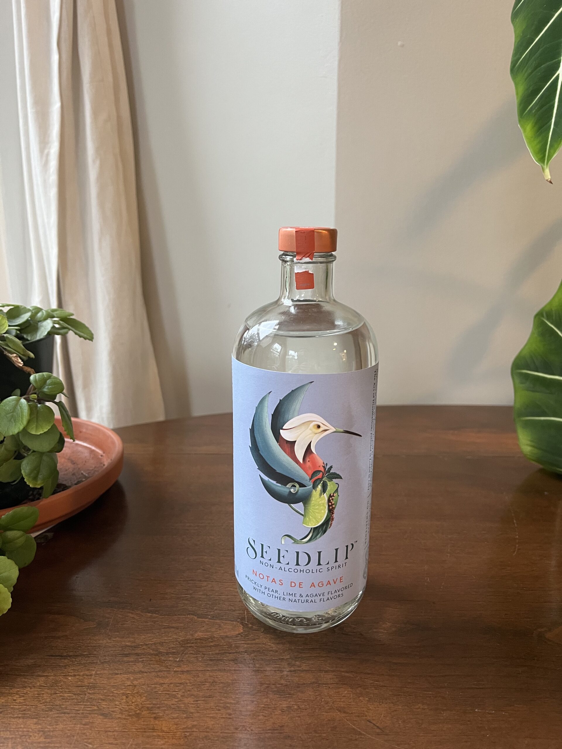 A bottle of Seedlip non-alcoholic spirit with a floral and bird design label sits on a wooden surface next to some houseplants.