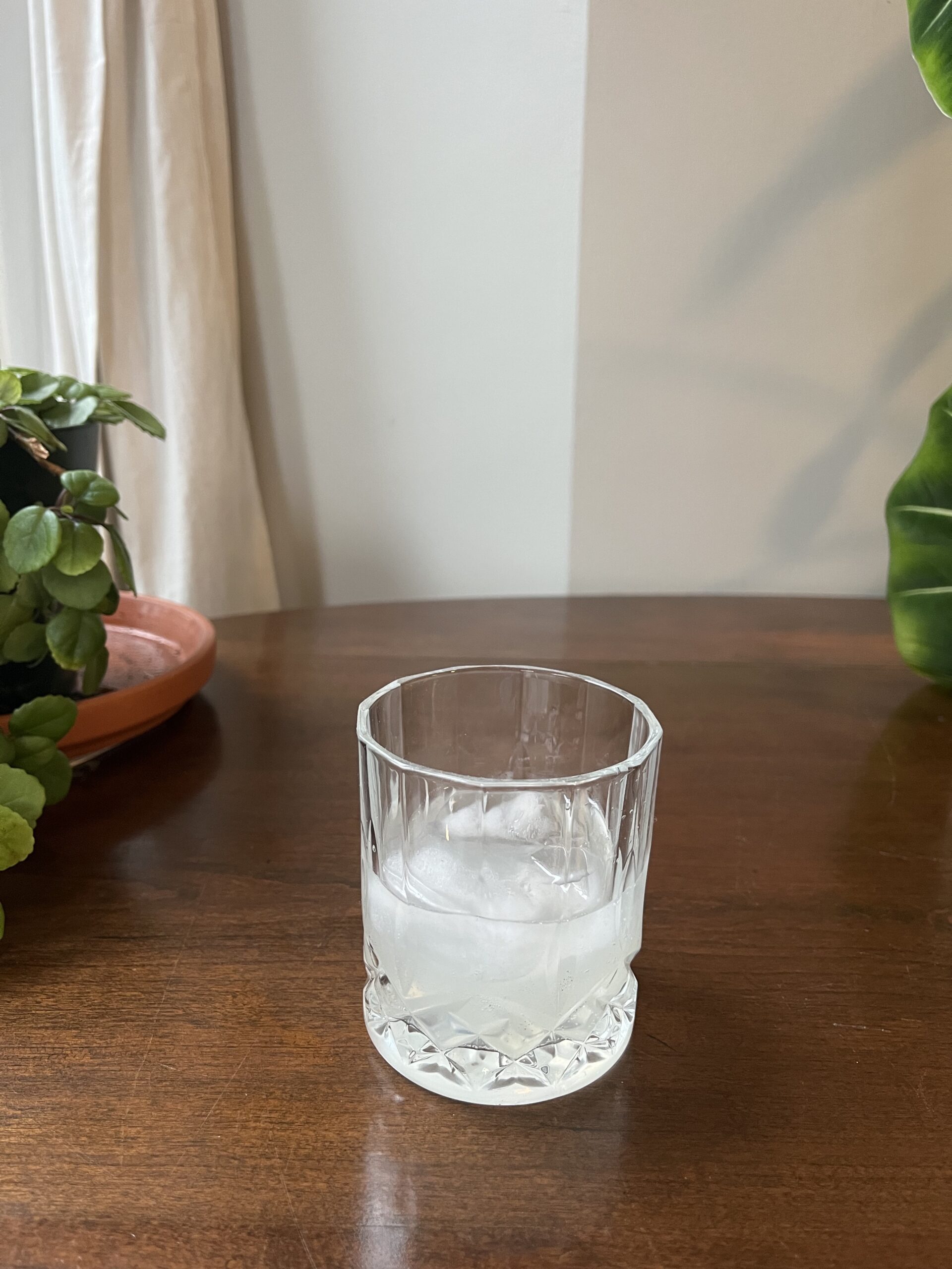 A clear glass with ice and a light-colored beverage sits on a wooden table next to a potted plant.