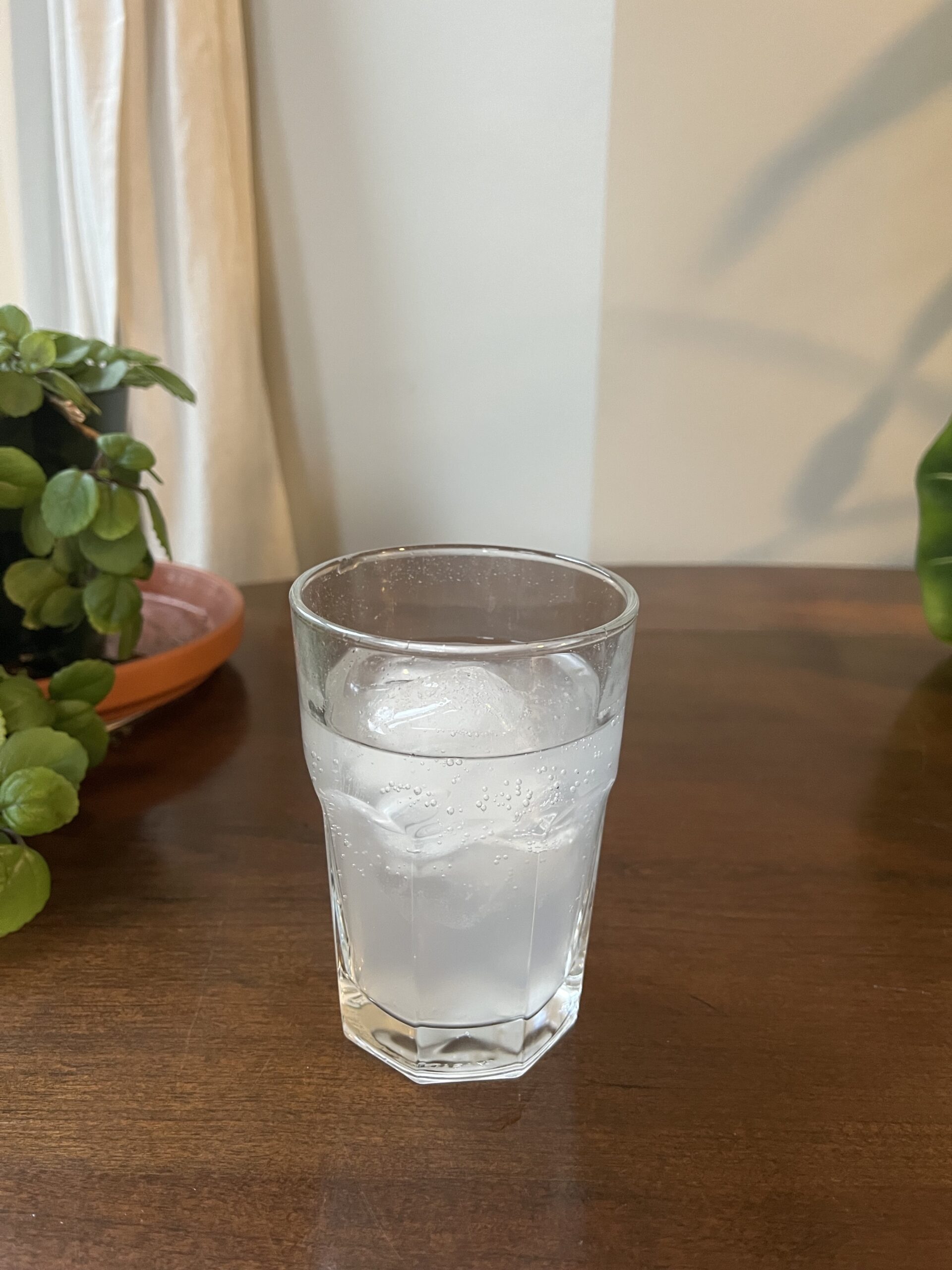 A glass of water with ice sits on a wooden table, with a potted plant in the background.