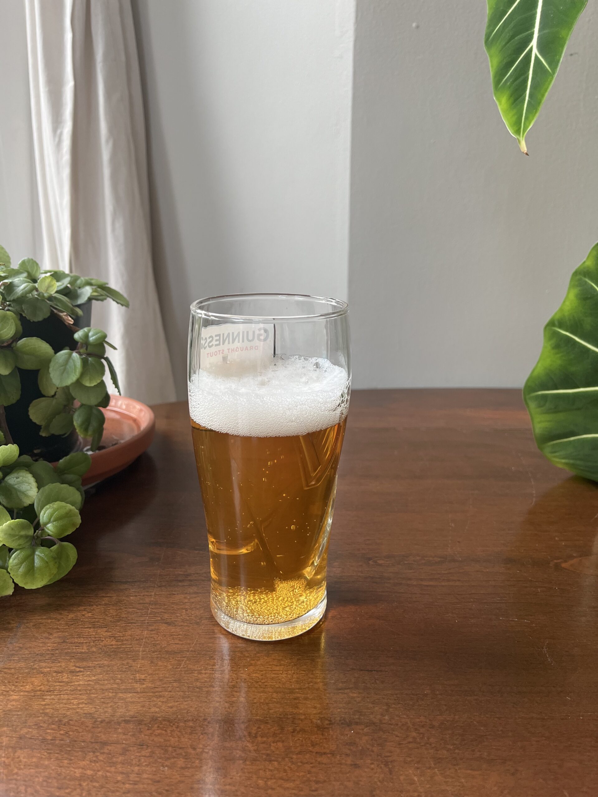 A partially filled glass of beer sits on a wooden table, surrounded by green potted plants.