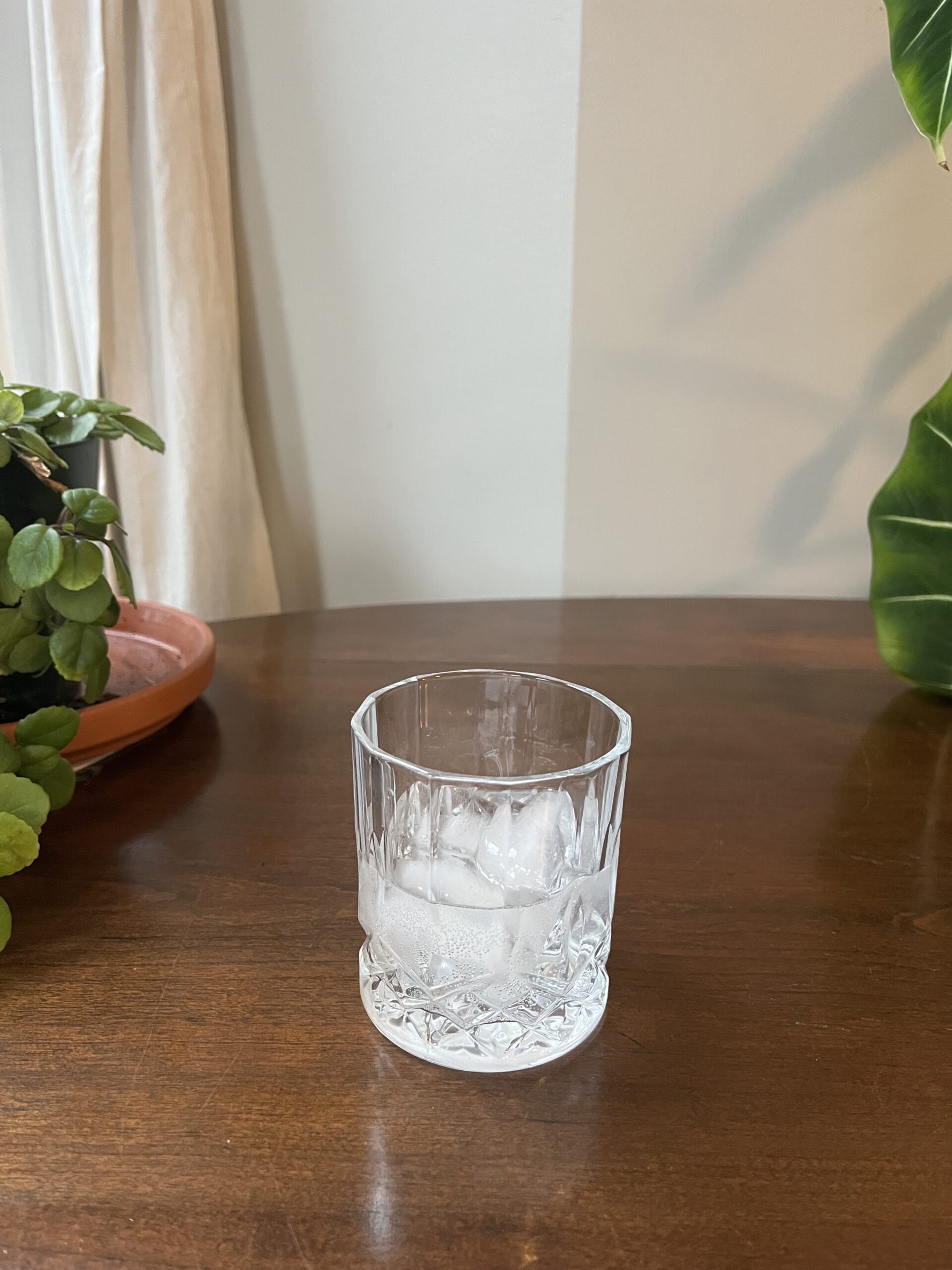 A glass with ice cubes sits on a wooden surface, surrounded by green potted plants.