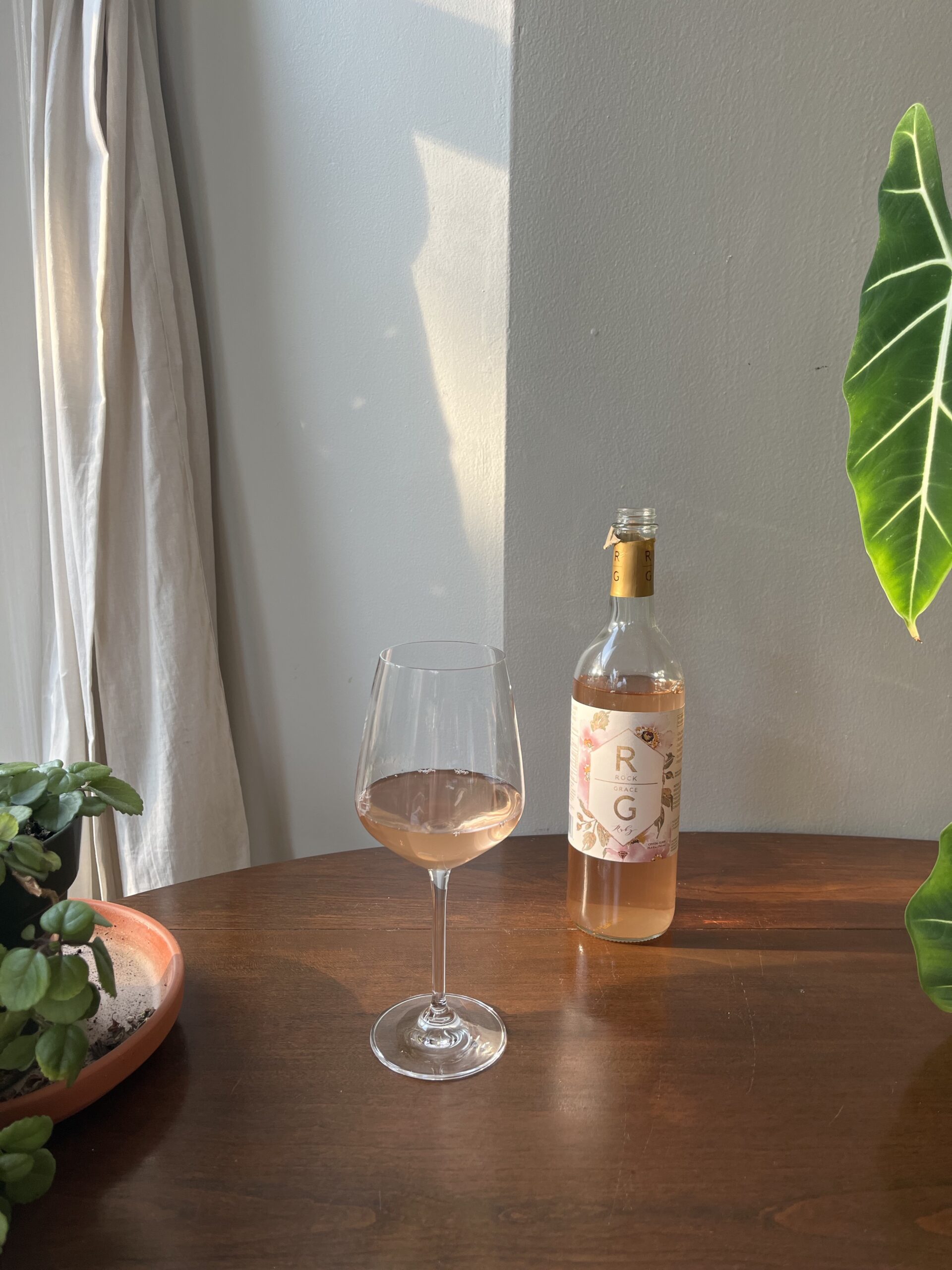 A wine glass filled with a light pink wine sits next to a bottle labeled "RG" on a wooden table. A potted plant and a large leaf are partially visible on the table. Sunlight streams in from the left.