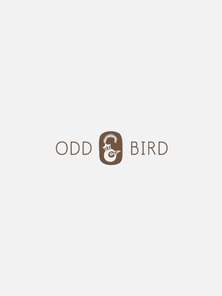 A logo featuring the company name "Odd Bird" in brown text with a stylized illustration of a bird wearing a crown between the words.