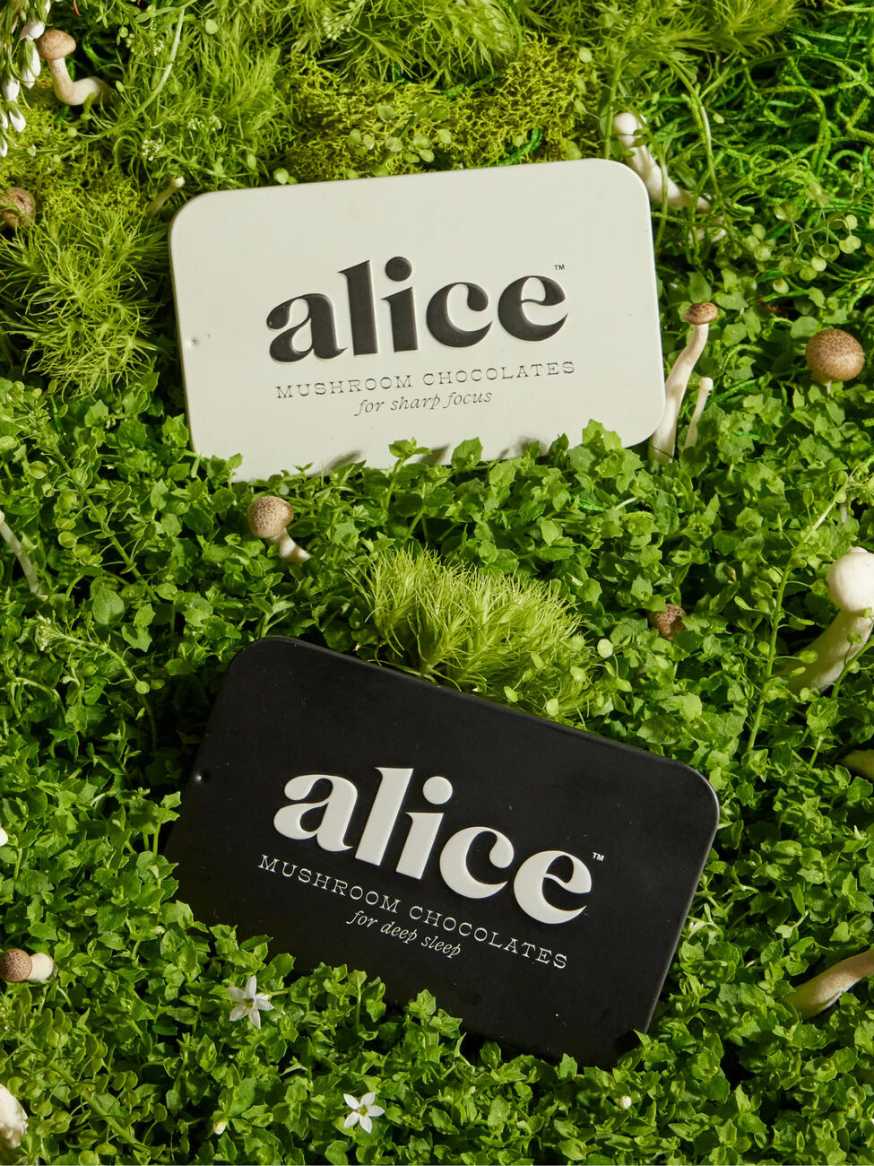 Two rectangular tins labeled "alice Mushroom Chocolates" rest on dense, green foliage. One tin is white with "for clarity" written on it, and the other is black with "for nightcap" written on it.