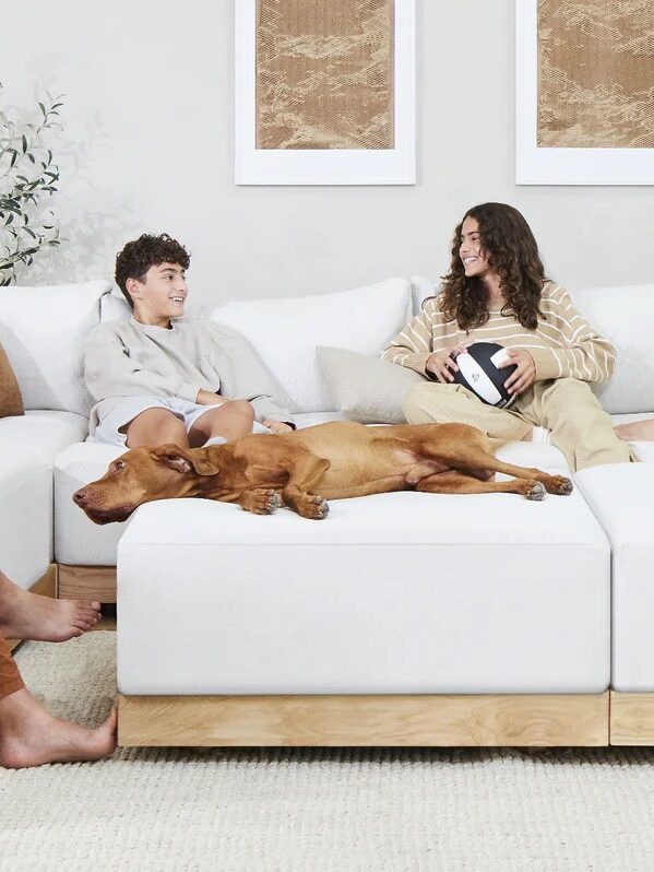 Four people relaxing on a white sectional sofa with a dog lying in the middle. The room features wooden bookshelves, neutral tones, and minimalist decor.
