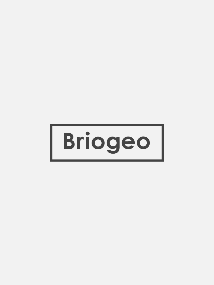 A logo features the word "Briogeo" centered within a rectangular border on a plain white background.