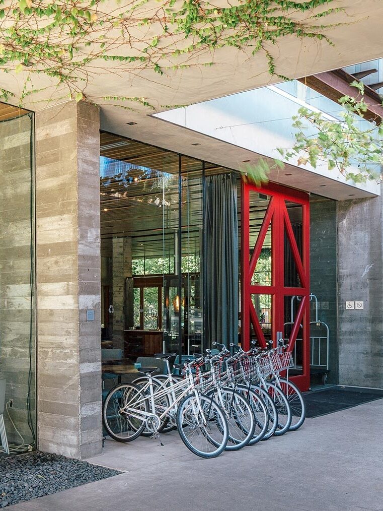 Modern building entrance with large glass walls, a metal mesh panel, a bright red door, and several parked bicycles outside. Green vines hang from the ceiling above.