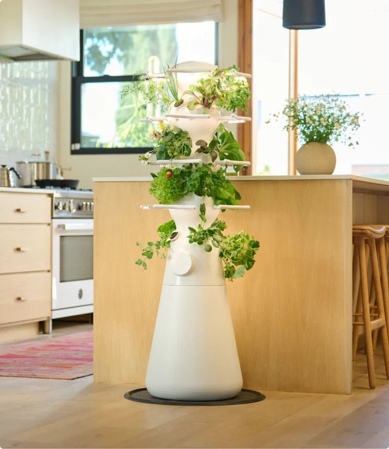 A sleek, white indoor hydroponic garden with multiple levels of growing plants is placed in a bright, modern kitchen.