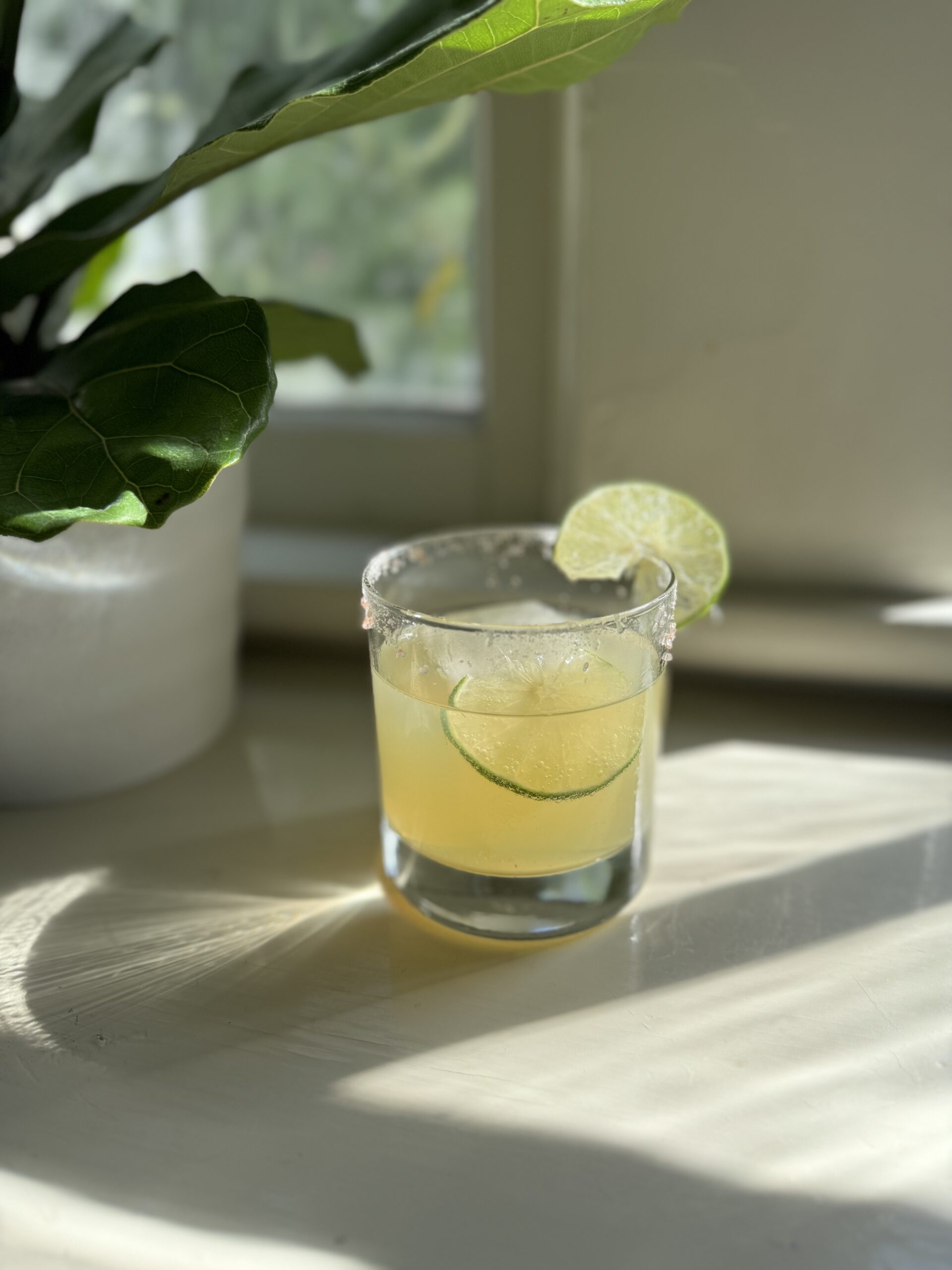 A glass with a light yellow drink, garnished with a lime slice, is placed on a sunlit surface next to a potted plant.