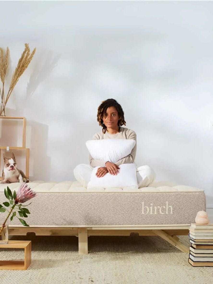 Person sitting on a bed holding a pillow, with a dog beside on a wooden shelf. The bed has "birch" written on the side, and there are books and potted plants nearby.