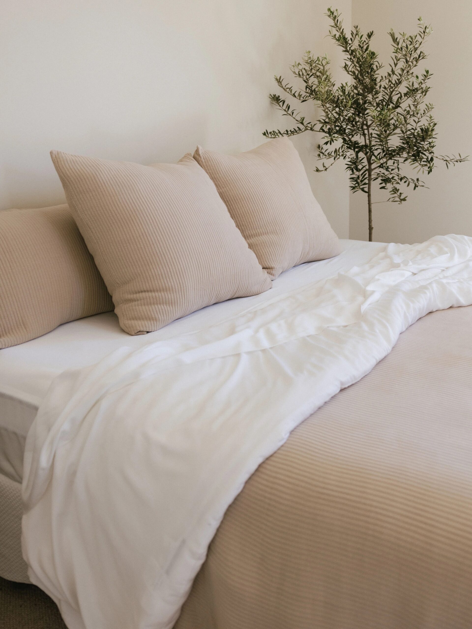 A neatly made bed with beige pillows and a white blanket. A small potted tree stands next to the bed against a white wall.