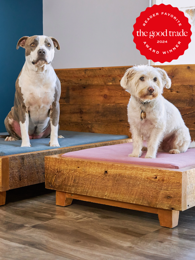 Two dogs sit on wooden pet beds, with a "Reader Favorite 2024" award badge from The Good Trade displayed in the corner.