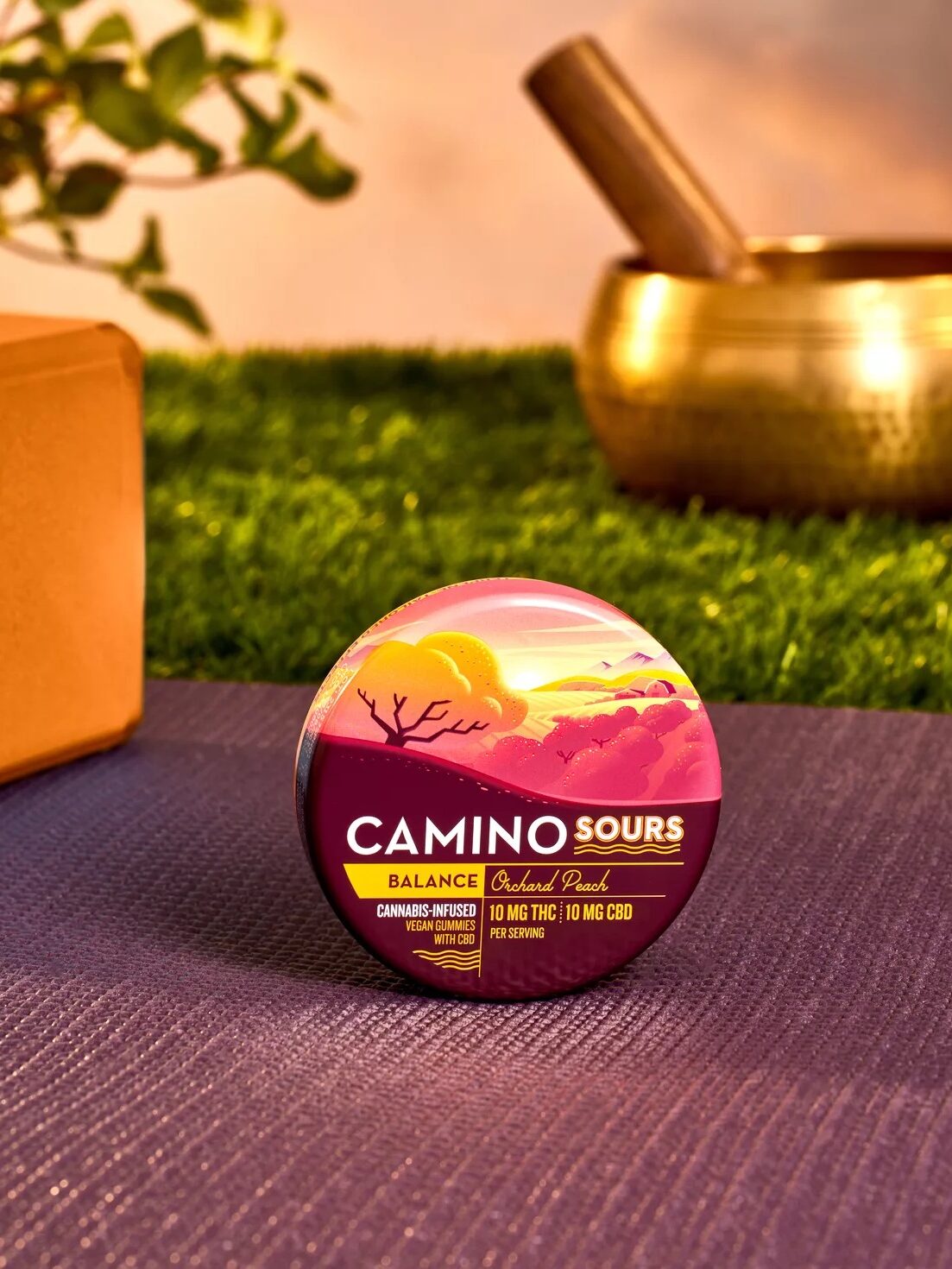 A circular tin labeled "Camino Sours" is shown on a mat outdoors with greenery and a blurred object in the background. The tin highlights "Cannabis-Infused Gummies" with 10 mg THC and 10 mg CBD.