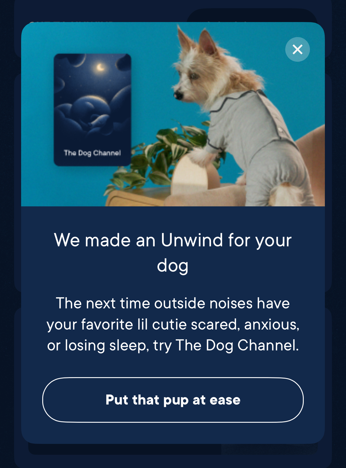 Image of a promotion for "The Dog Channel" featuring a small dog in a gray outfit sitting on a couch and looking at a plant. Text reads: "We made an Unwind for your dog. Put that pup at ease.