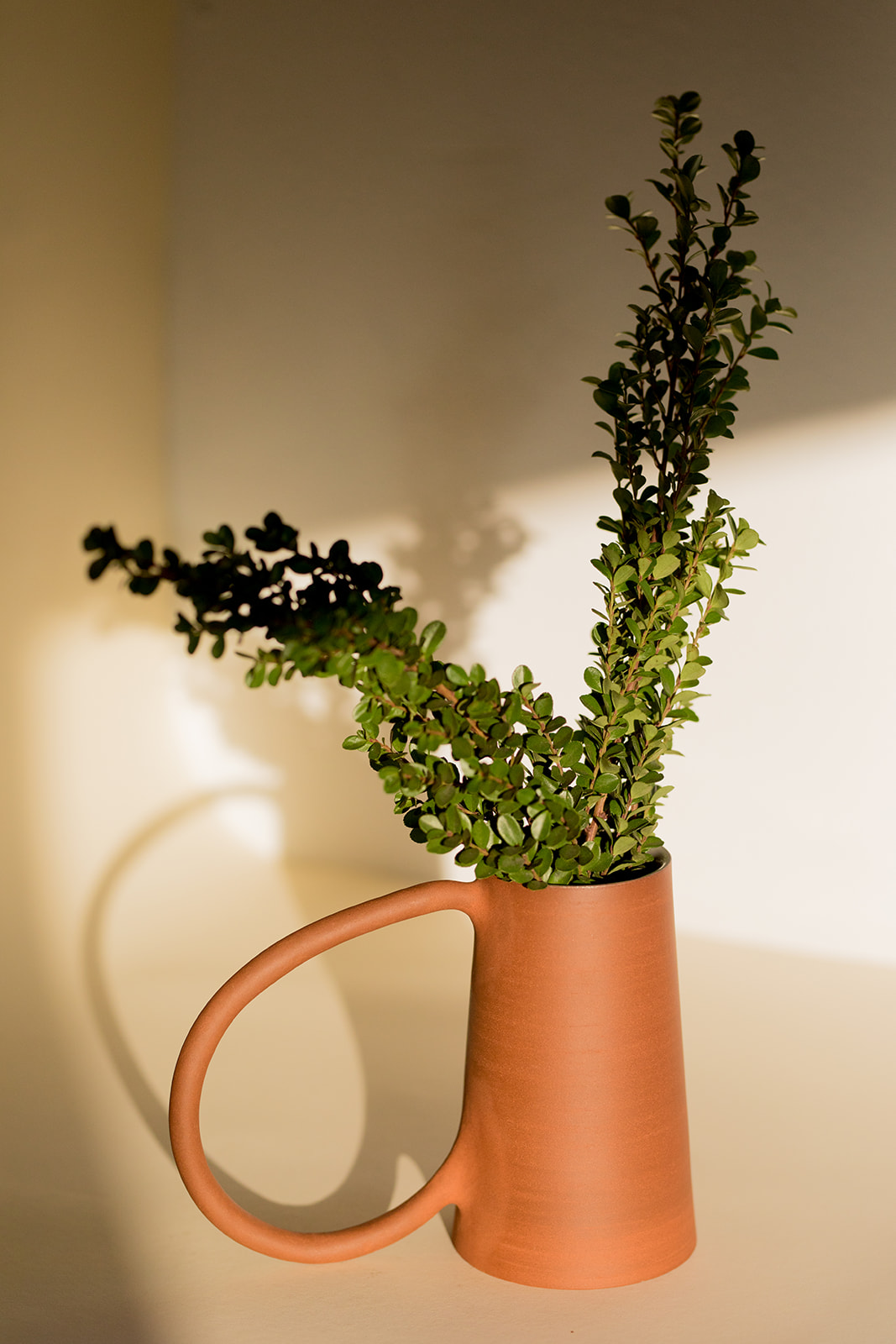 A terracotta vase with a large handle holds sprigs of green foliage, placed on a light-colored surface with soft light and shadows, inviting a sense of calm akin to a spiritual practice.