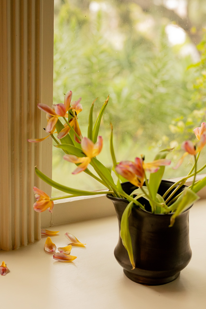 A black vase with wilting pink and yellow tulips sits on a white windowsill. Scattered petals lie nearby. Greenery is visible in the blurred background outside the window.