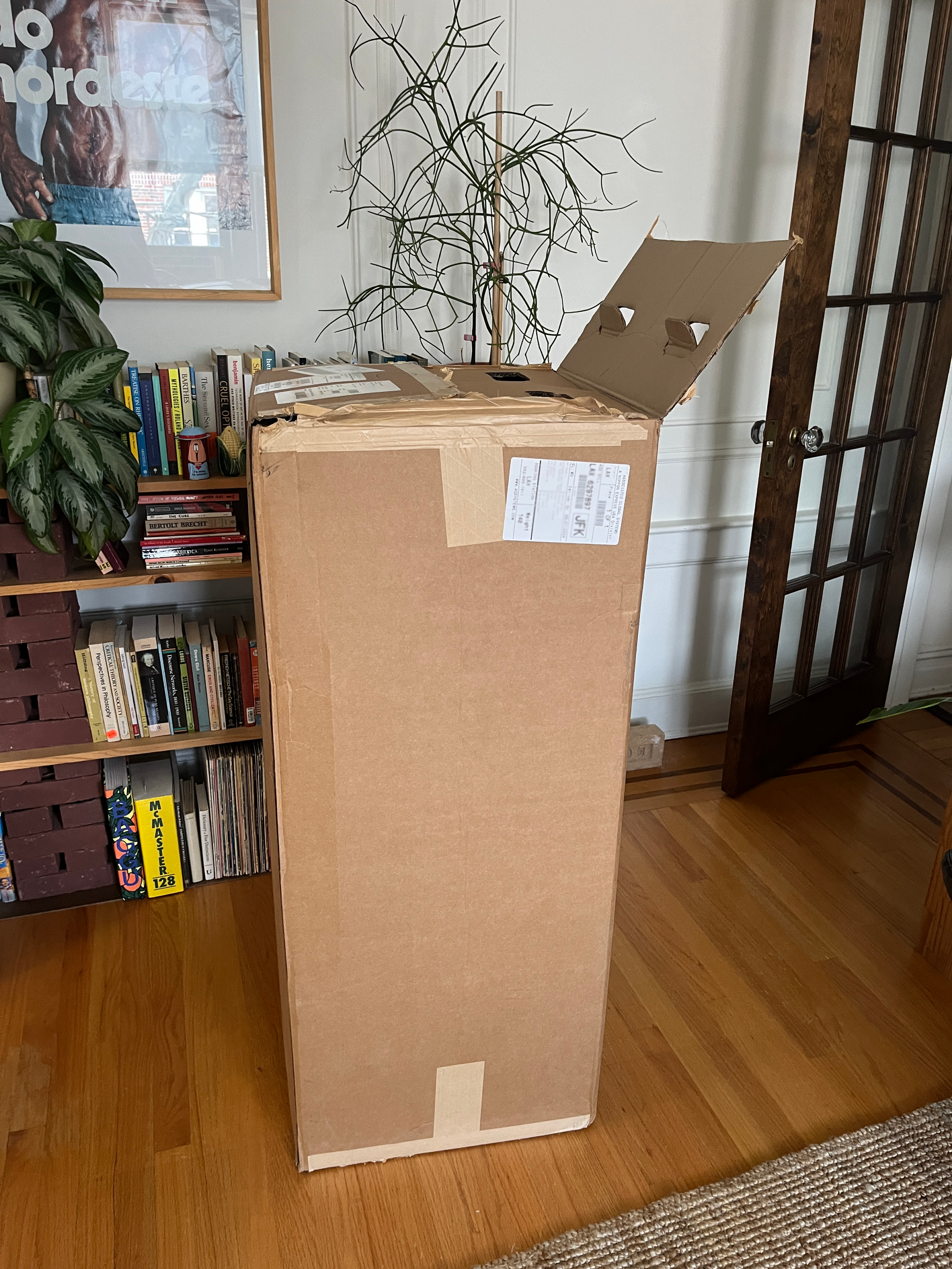 A tall, open cardboard box stands in a living room with shelves of books, a potted plant, and a door with glass panels in the background.