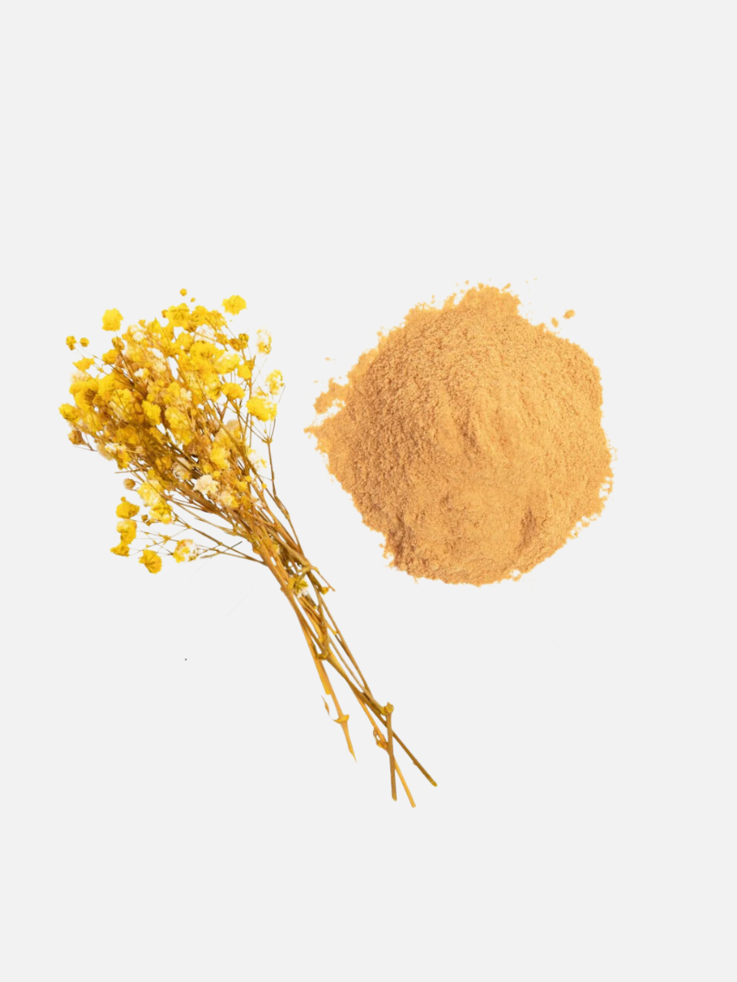 A bunch of yellow flowers lies next to a small pile of tan-colored powder on a white background.