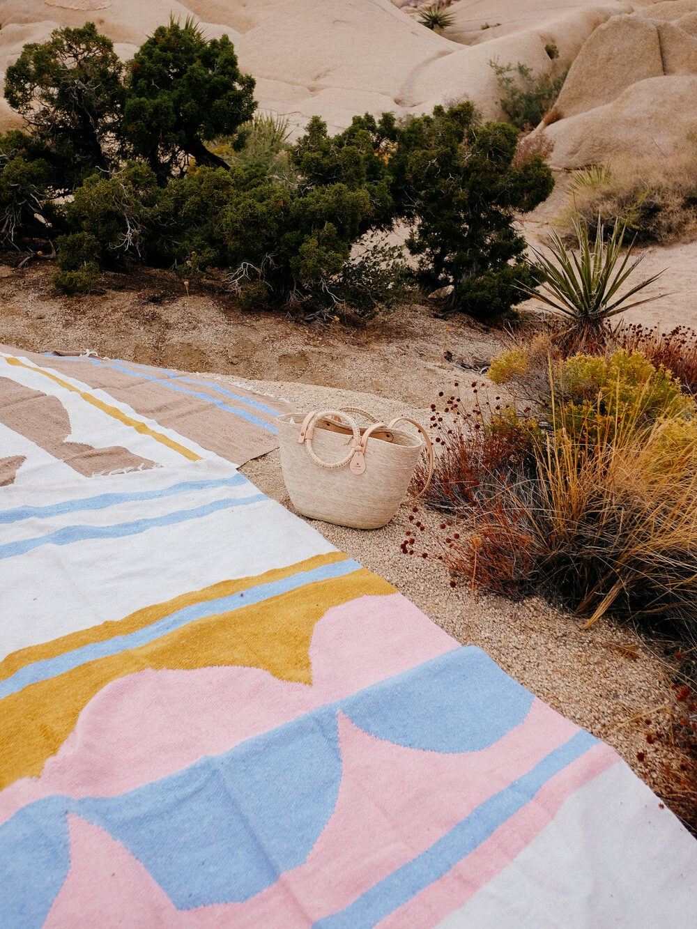 A colorful blanket and a woven basket with sunglasses sit on rocky terrain surrounded by desert vegetation.