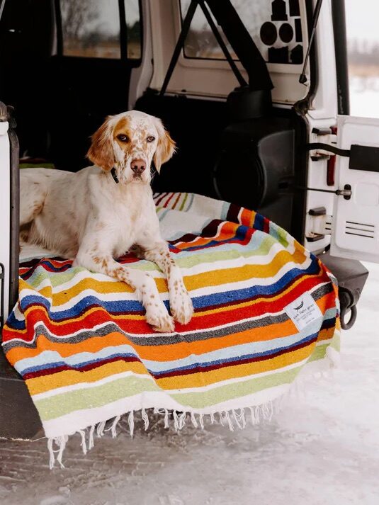 A dog lies on a colorful striped blanket in the open back of a white vehicle. Snow is visible on the ground outside.