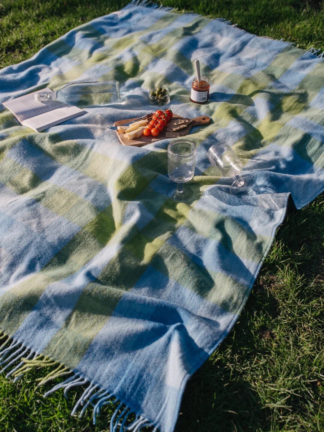 A picnic blanket with a spread of food items, including a cutting board with breadsticks and cherry tomatoes, a jar of dip, an empty wine bottle, and two wine glasses, is set on a grassy area.