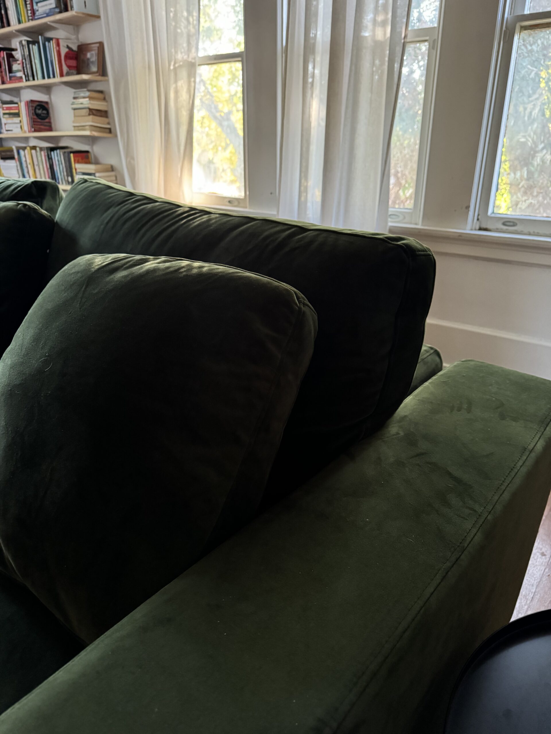 A green couch in a sunlit room with bookshelves and sheer curtains in the background.