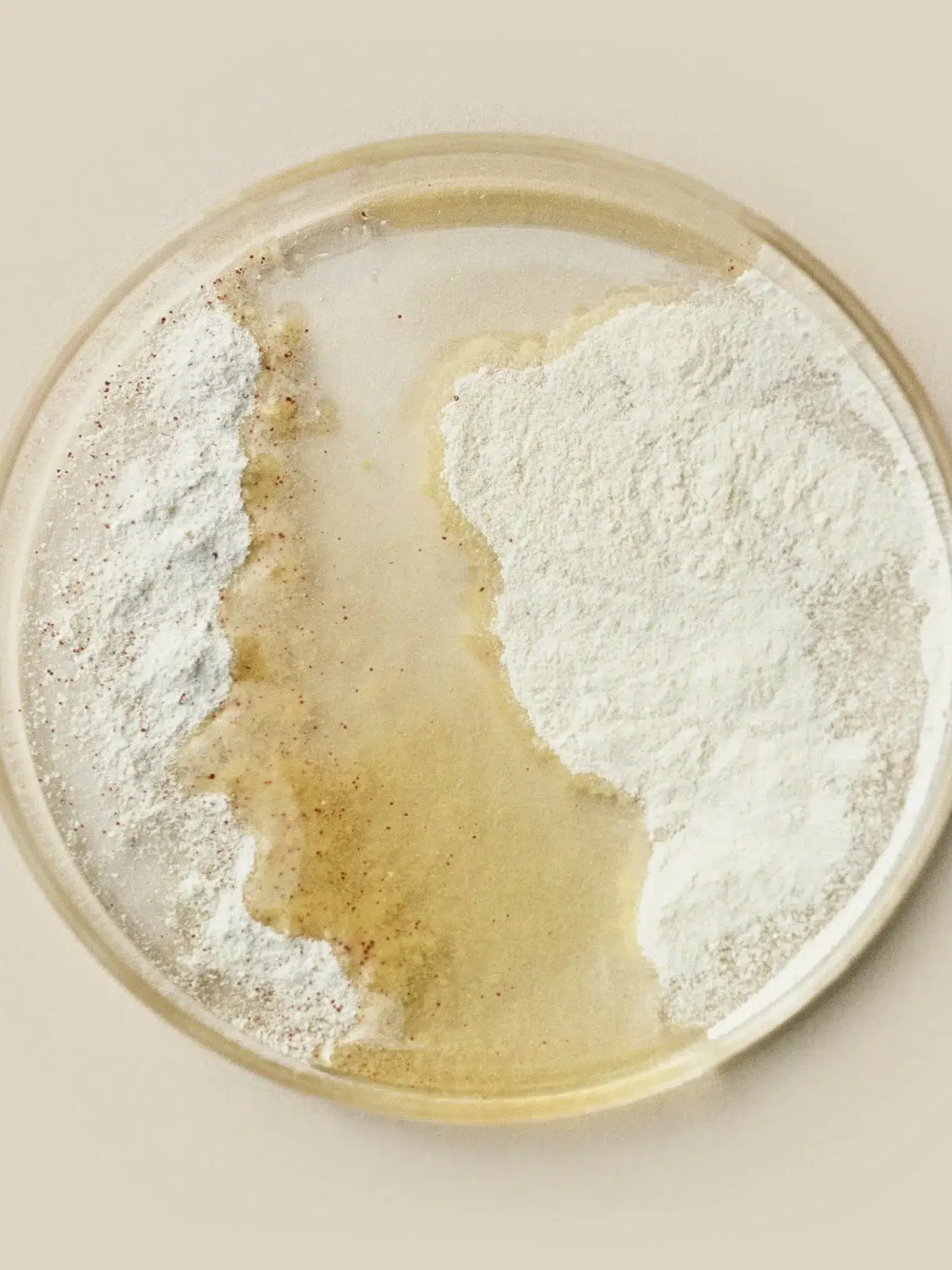 A petri dish contains a mixture of white powder and a yellowish liquid on a beige background.