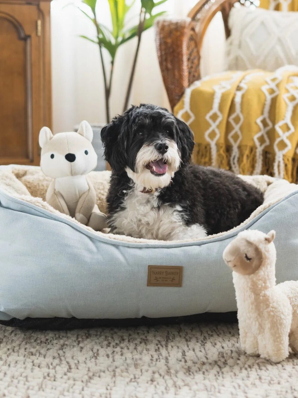 A black and white dog sitting in a blue pet bed with two stuffed animals, one resembling a wolf and the other a llama, in a cozy indoor setting.