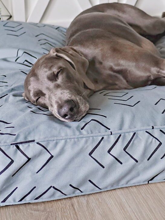 A dog is lying down and sleeping on a light blue pet bed with a geometric pattern. The bed is placed on a wooden floor.