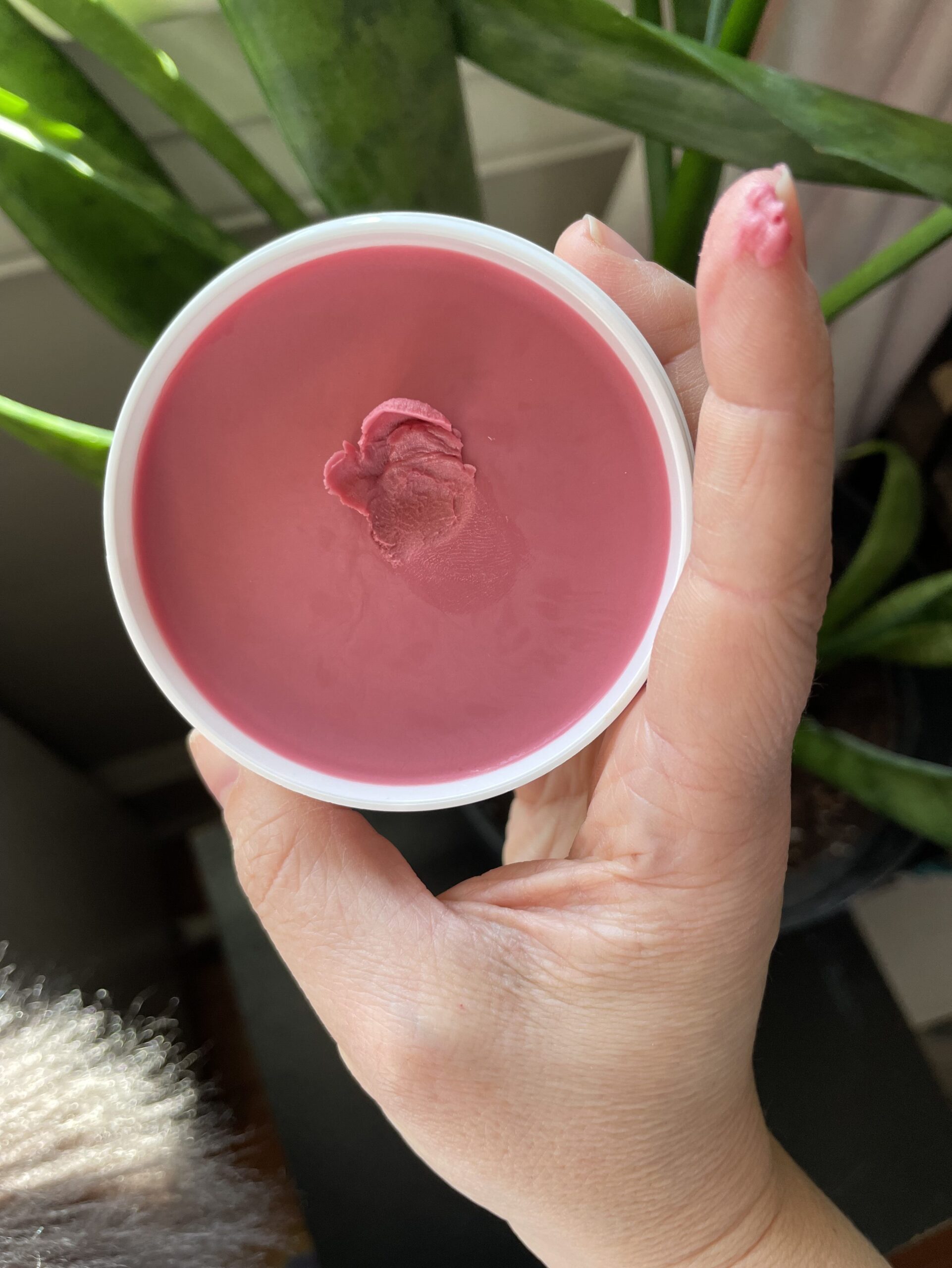 A hand holding an open container of pink cream, with a bit of cream on the fingertip, near green potted plants.