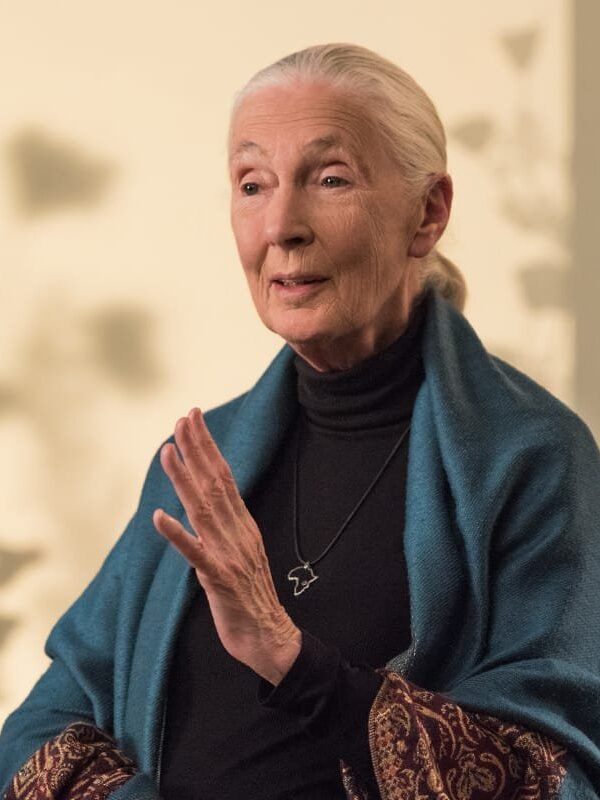 Jane Goodall's Masterclass. 