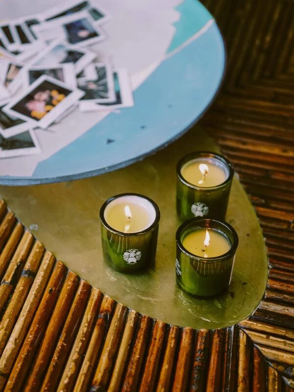 Three Flamingo Estate candles set on a table. 