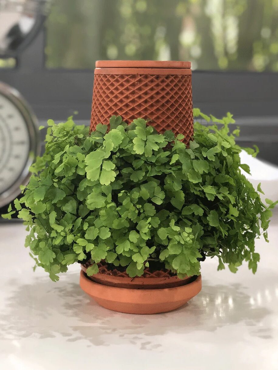 A tevaplanter terracotta indoor garden. 