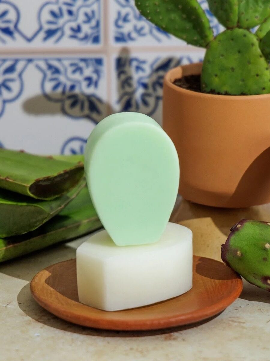 A green Nopalera shampoo bar in front of a variety of cactus'. 