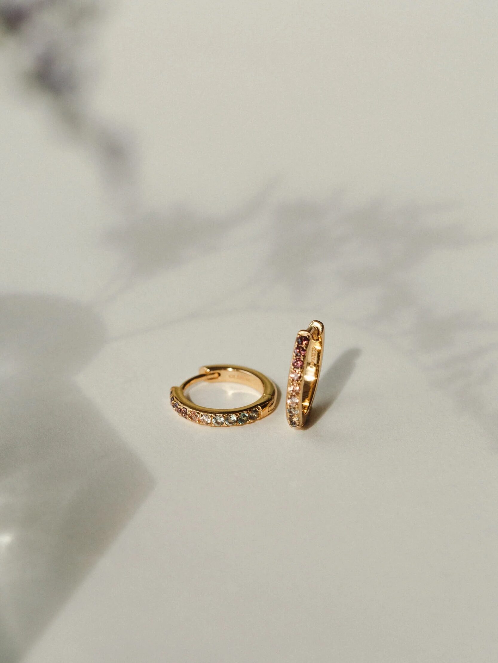 A pair of GLDN Poet's Garden hoop earrings. 