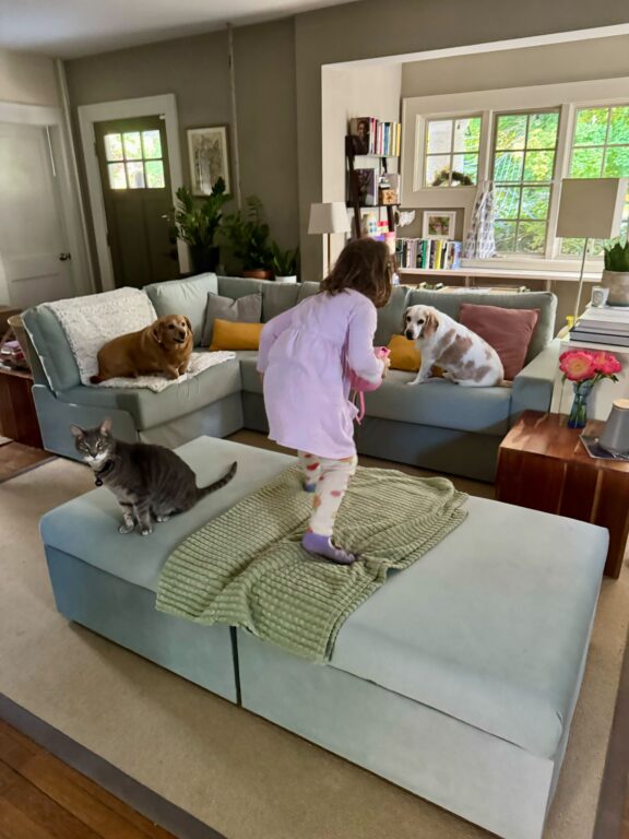 Two dogs, a child, and a cat are all sat upon a light blue sectional couch that includes an ottoman in the foreground. There's a window with greenery in the back.