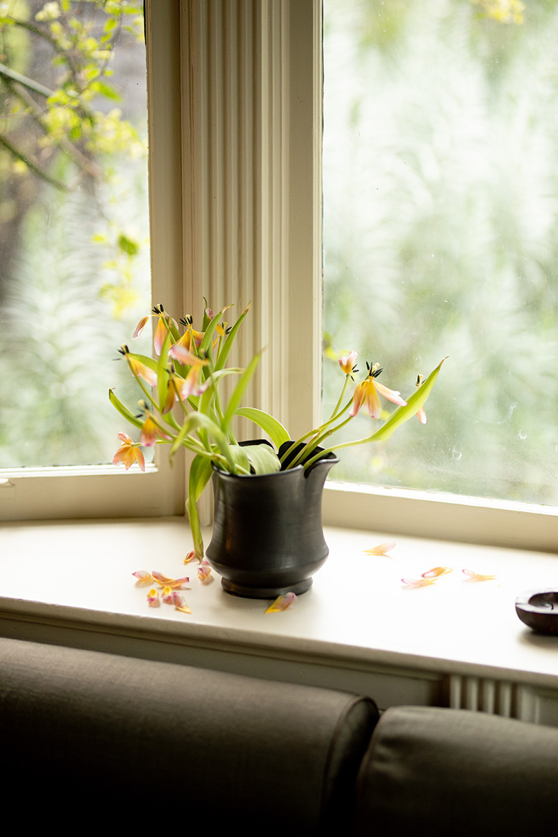 A black vase with wilted flowers sits on a windowsill with a soft green outside view. Petals are scattered around.