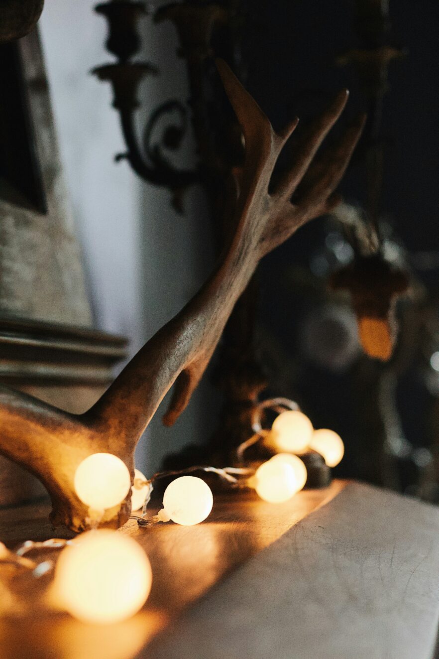 Antler decoration with warm string lights draped around it against a dark background.